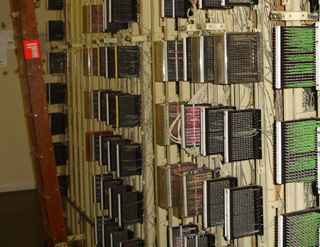 Light Straw ATE Light Straw ATE